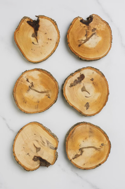 Wood Tree branch Slice Coasters: Slices Reclaimed Wood discs